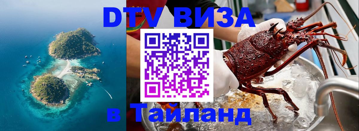 Оформление DTV визы под ключ: стоимость и тарифы, только загранпаспорт - 